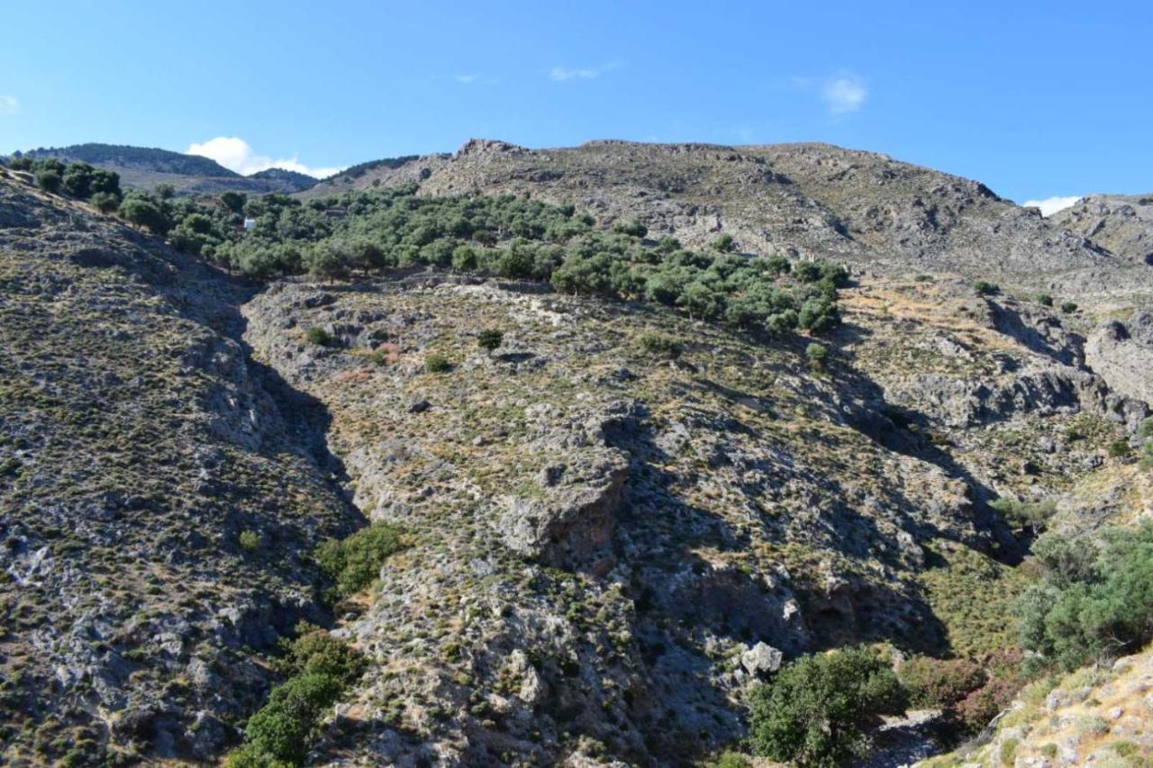 Mesohori Studios Sfakia Exterior photo